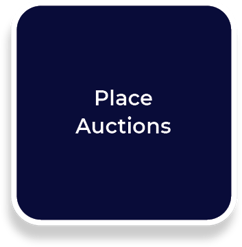 Place Playbook 23_Place Auctions