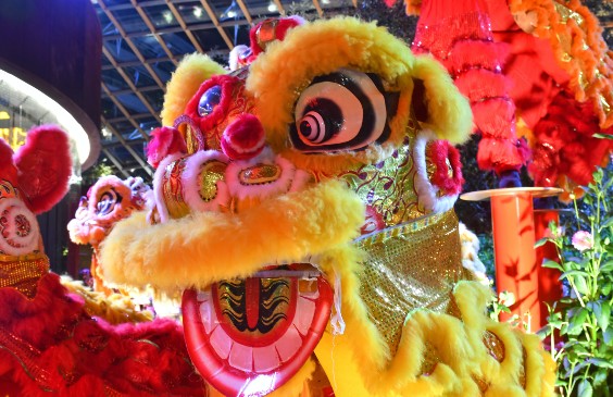 Chinese New Year Events Near Washington DC
